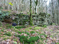 
Stone buildings at Craig Furnace, Nant Gwyddon Valley, Abercarn, November 2011